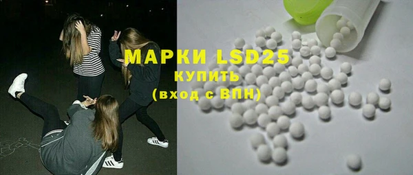 гидра Карпинск