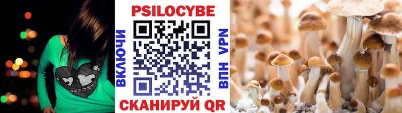 купить  цена  Жиздра  Псилоцибиновые грибы мухоморы 